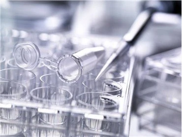 Plastikler için Işık Stabilizatörleri